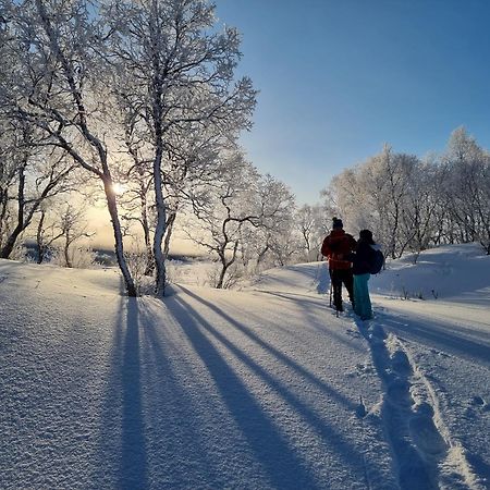 Ringstad Resort Bo (Nordland) Bagian luar foto