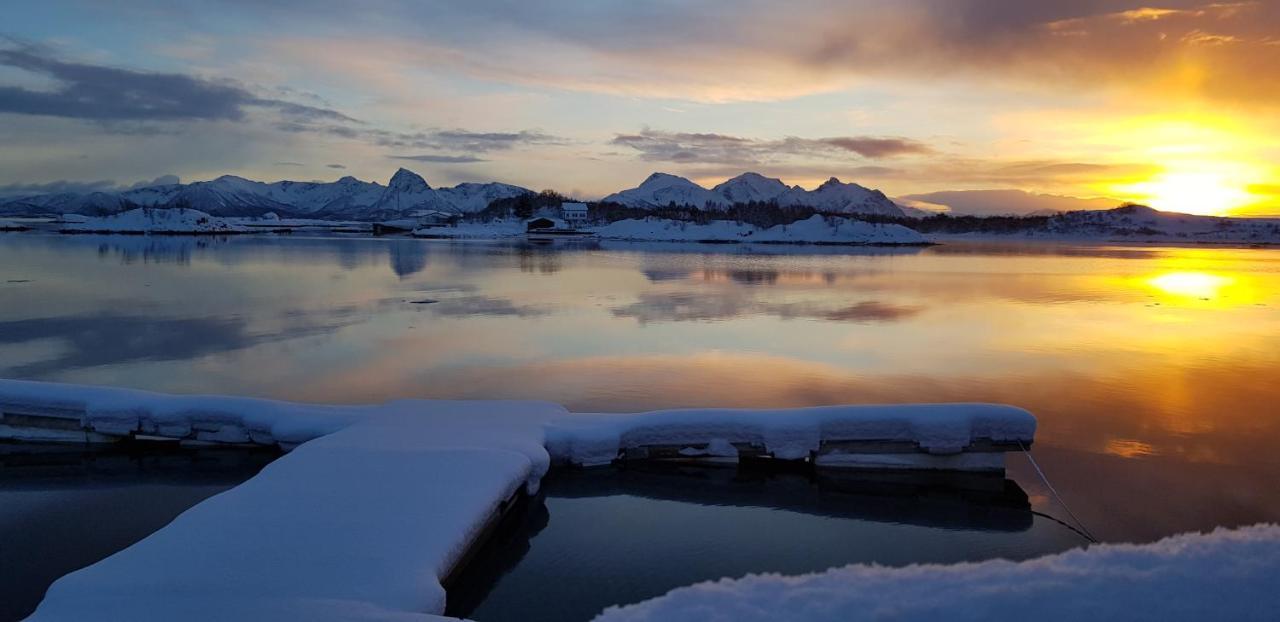 Ringstad Resort Bo (Nordland) Bagian luar foto