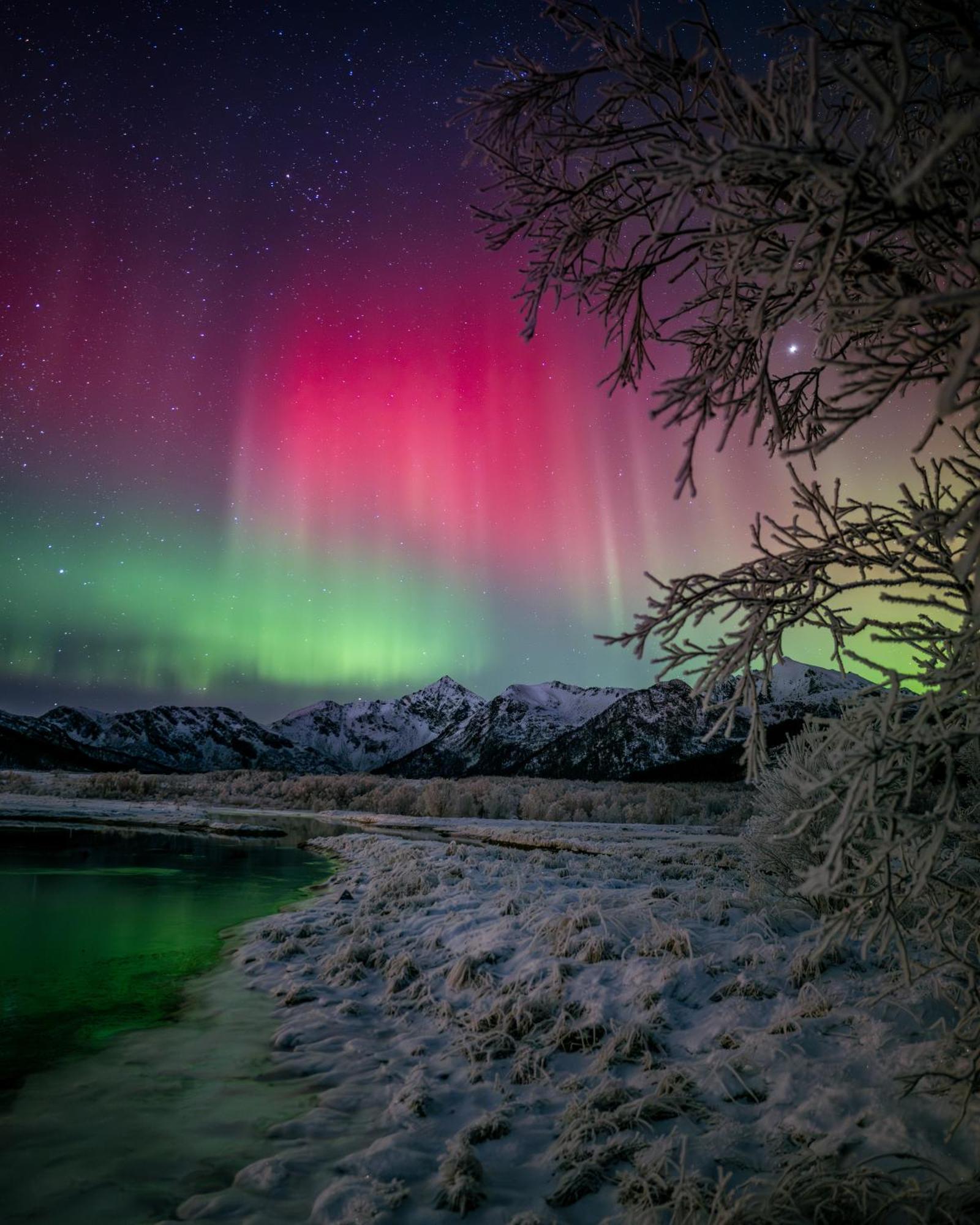Ringstad Resort Bo (Nordland) Bagian luar foto